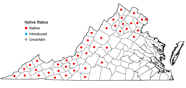 Locations ofSymphyotrichum prenanthoides (Muhl. ex Willd.) Nesom in Virginia