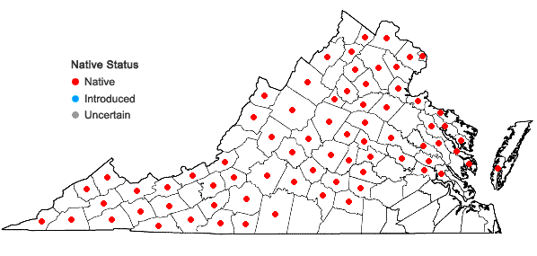 Locations ofSymphyotrichum puniceum (L.) A.& D. Love var. puniceum in Virginia