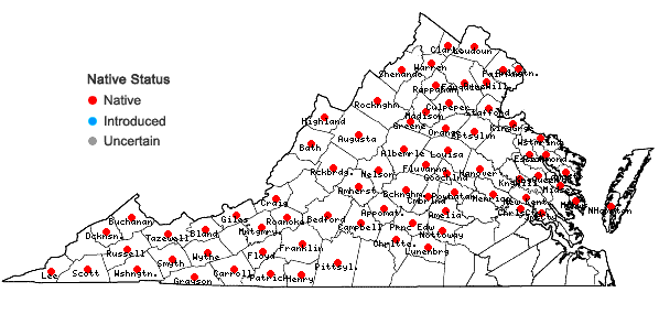 Locations ofSymphyotrichum puniceum (L.) A.& D. Love var. puniceum in Virginia