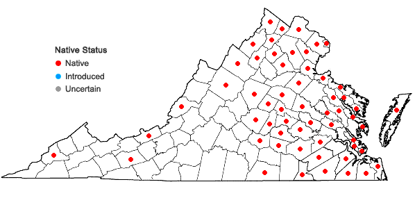 Locations ofSymphyotrichum racemosum (Ell.) Nesom var. racemosum in Virginia