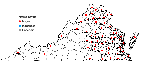 Locations ofSymphyotrichum racemosum (Ell.) Nesom var. racemosum in Virginia