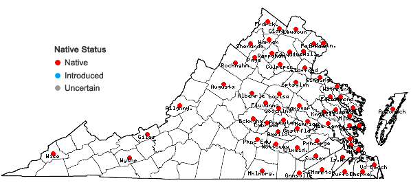 Locations ofSymphyotrichum racemosum (Ell.) Nesom var. racemosum in Virginia