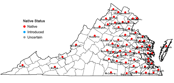 Locations ofSymphyotrichum racemosum (Ell.) Nesom var. racemosum in Virginia