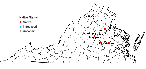 Locations ofSymphyotrichum racemosum (Ell.) Nesom var. subdumosum (Wieg.) Nesom in Virginia