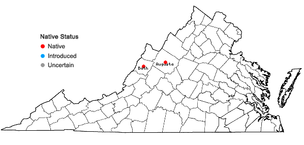 Locations ofSymphyotrichum schistosum (E.S. Steele) Nesom in Virginia