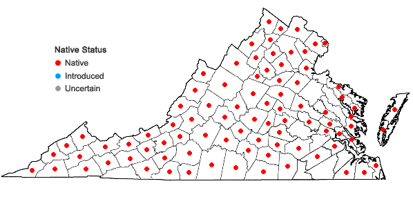 Locations ofSymphyotrichum undulatum (L.) Nesom in Virginia
