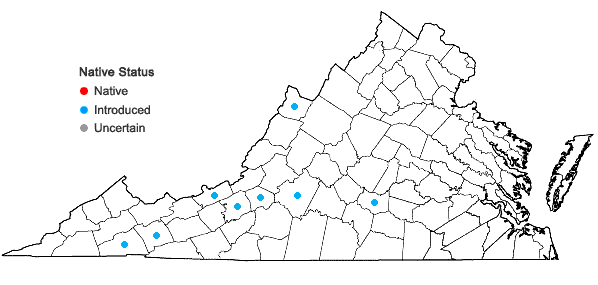 Locations ofSymphytum officinale L. in Virginia