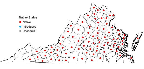 Locations ofSymplocarpus foetidus (L.) Salisbury ex W.P. C. Barton in Virginia