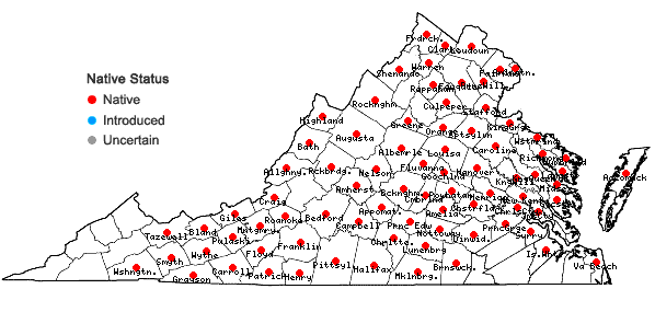 Locations ofSymplocarpus foetidus (L.) Salisbury ex W.P. C. Barton in Virginia