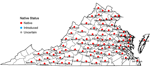 Locations ofSymplocarpus foetidus (L.) Salisbury ex W.P. C. Barton in Virginia