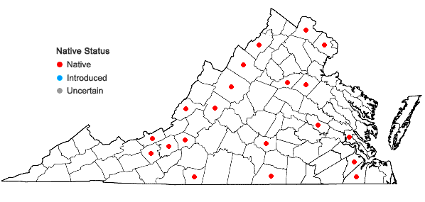 Locations ofSyntrichia pagorum (Milde) J.J. Amann in Virginia