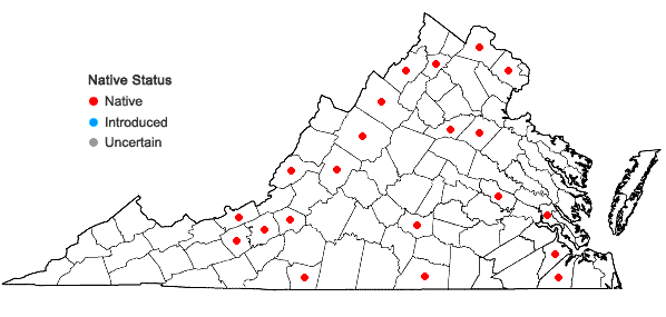 Locations ofSyntrichia pagorum (Milde) J.J. Amann in Virginia