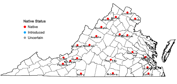 Locations ofSyntrichia pagorum (Milde) J.J. Amann in Virginia