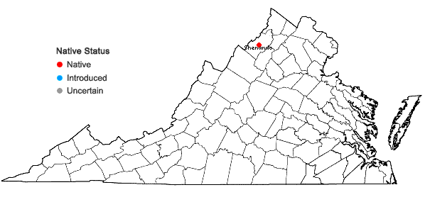 Locations ofSyntrichia virescens (De Not.) Ochyra in Virginia