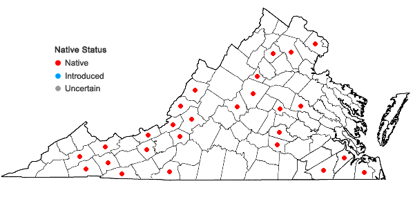 Locations ofSyzygiella autumnalis (DC.) K. Feldberg, Vána, Hentschel & J. Heinrichs in Virginia