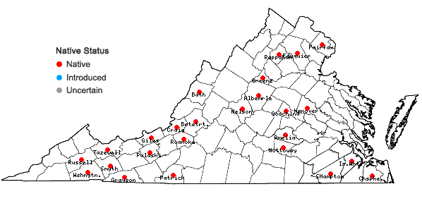 Locations ofSyzygiella autumnalis (DC.) K. Feldberg, Vána, Hentschel & J. Heinrichs in Virginia