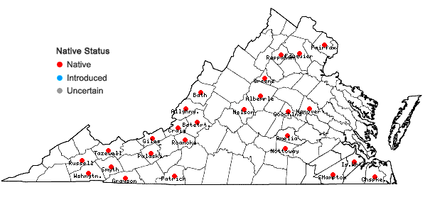 Locations ofSyzygiella autumnalis (DC.) K. Feldberg, Vána, Hentschel & J. Heinrichs in Virginia