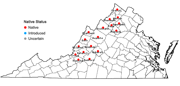 Locations ofTaenidia montana (Mackenzie) Cronq. in Virginia