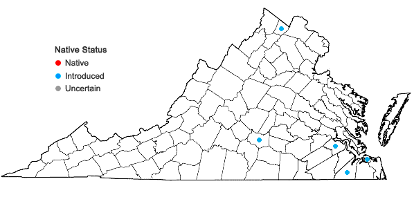 Locations ofTagetes erecta L. in Virginia