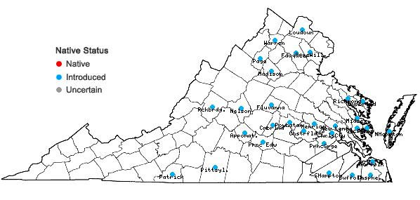 Locations ofTaraxacum erythrospermum Andrzejowski ex Besser in Virginia