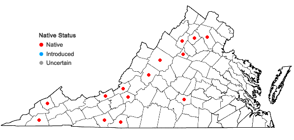 Locations ofTaxiphyllum deplanatum (Bruch & Schimp. ex Sull.) M. Fleisch. in Virginia