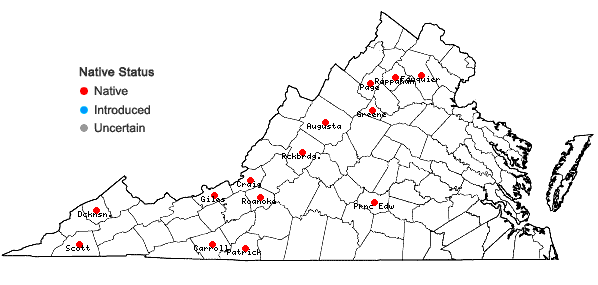 Locations ofTaxiphyllum deplanatum (Bruch & Schimp. ex Sull.) M. Fleisch. in Virginia