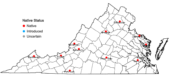 Locations ofTaxiphyllum taxirameum (Mitt.) M. Fleisch. in Virginia