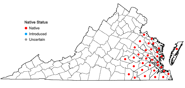 Locations ofTaxodium distichum (L.) Richard in Virginia