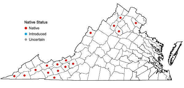 Locations ofTaxus canadensis Marshall in Virginia