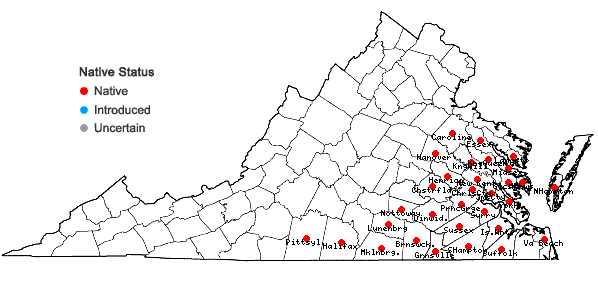 Locations ofTephrosia spicata (Walt.) Torr. & Gray in Virginia