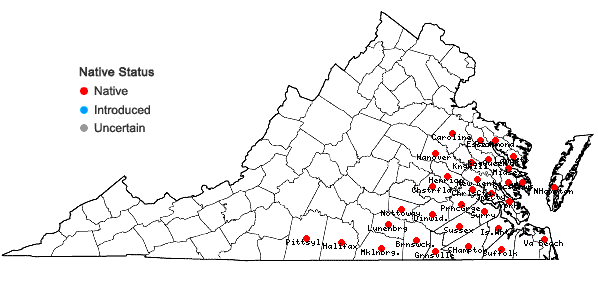 Locations ofTephrosia spicata (Walt.) Torr. & Gray in Virginia