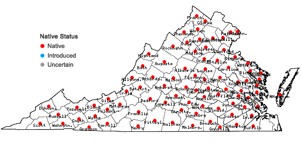 Locations ofTephrosia virginiana (L.) Pers. in Virginia