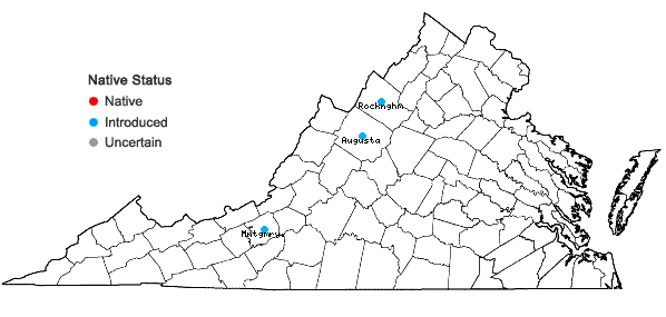 Locations ofTetradium daniellii (Benn.) T.G. Hartley in Virginia