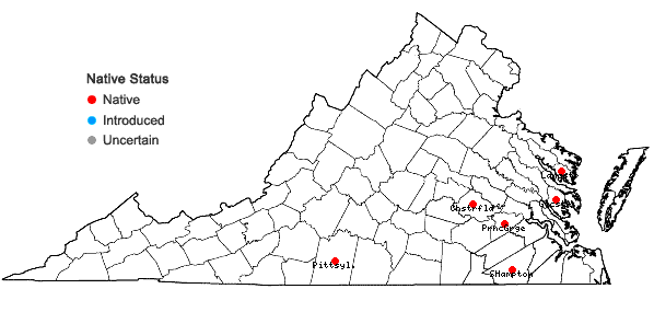 Locations ofTetragonotheca helianthoides L. in Virginia