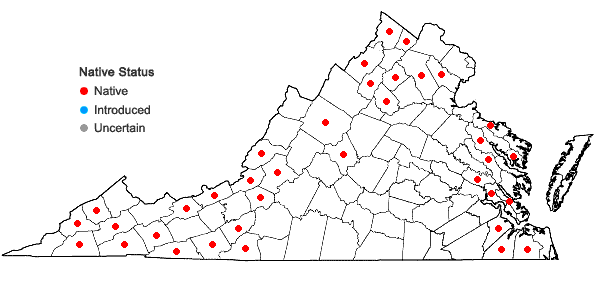 Locations ofTetraphis pellucida Hedwig var. pellucida in Virginia