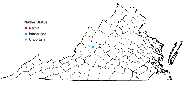 Locations ofTeucrium botrys L. in Virginia