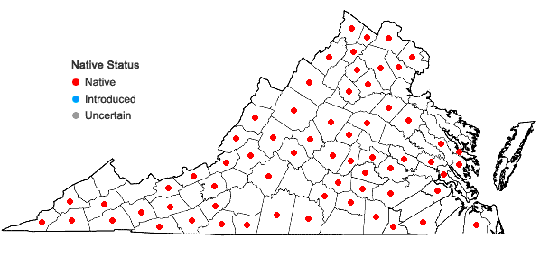 Locations ofThalictrum amphibolum Greene in Virginia