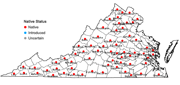 Locations ofThalictrum amphibolum Greene in Virginia