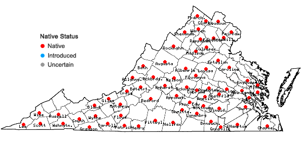 Locations ofThalictrum amphibolum Greene in Virginia