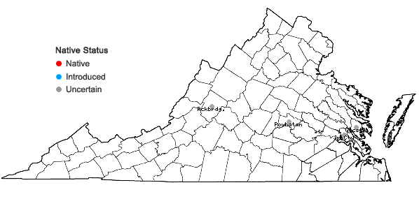 Locations ofThalictrum dasycarpum Fisher & Lall. in Virginia