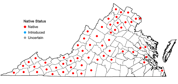 Locations ofThalictrum dioicum L. in Virginia
