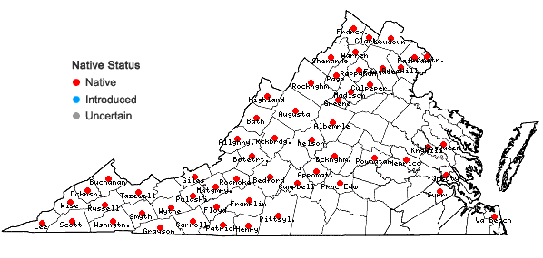 Locations ofThalictrum dioicum L. in Virginia