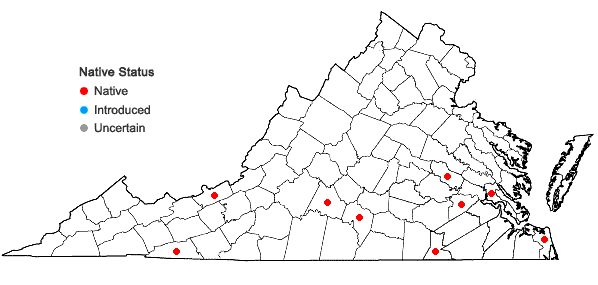 Locations ofThalictrum macrostylum Small & Heller in Virginia