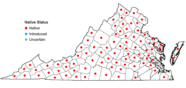 Locations ofThalictrum pubescens Pursh in Virginia