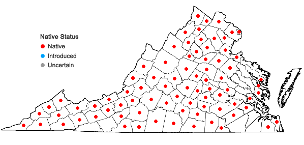 Locations ofThalictrum thalictroides (L.) Eames & Boivin in Virginia