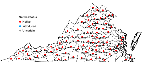 Locations ofThalictrum thalictroides (L.) Eames & Boivin in Virginia