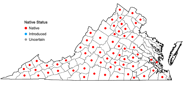 Locations ofThaspium trifoliatum (L.) Gray in Virginia