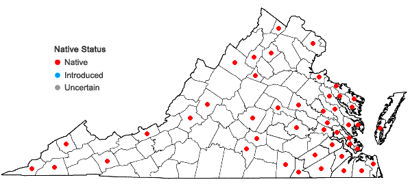 Locations ofThelia hirtella (Hedw.) Sull. in Virginia
