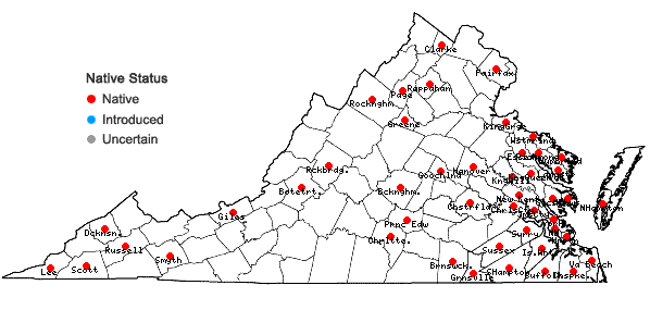 Locations ofThelia hirtella (Hedw.) Sull. in Virginia