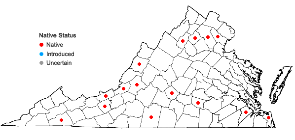 Locations ofThelia lescurii Sullivant in Virginia